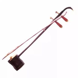 中西乐器对谈 弦管之间的文明回响