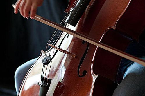 乐器的世界 你真的了解它的种类与分类吗？